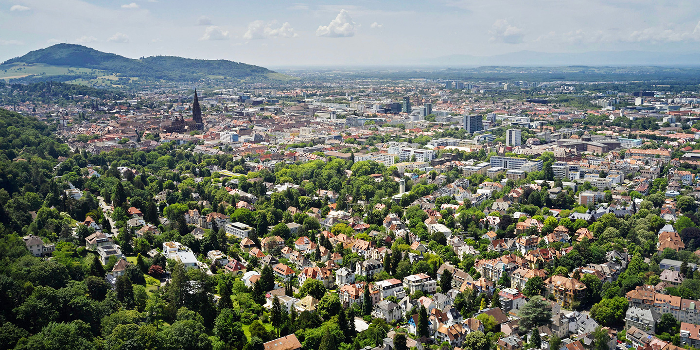 Umweltschonender Netzausbau