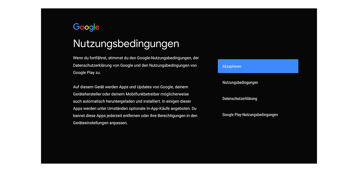 Anleitungsfoto: Nutzungsbedingungen werden akzeptiert