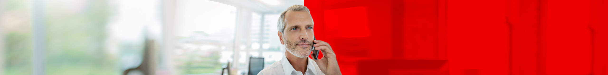 Gesch&auml;ftsmann am Telefon