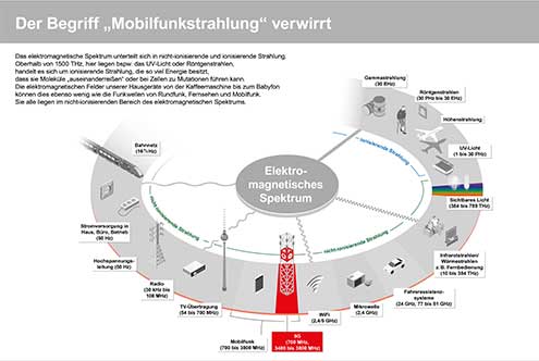 Sind elektromagnetische Felder gef&auml;hrlich?