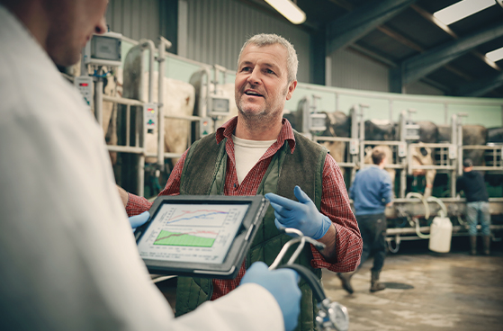 Anwendungsfelder von grandcentrix