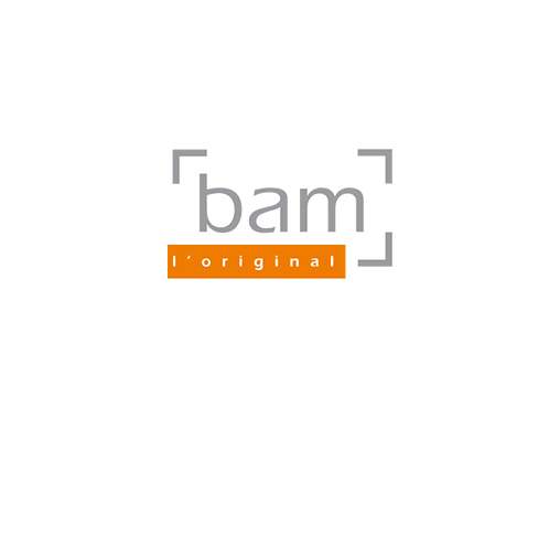 BAMCases Logo