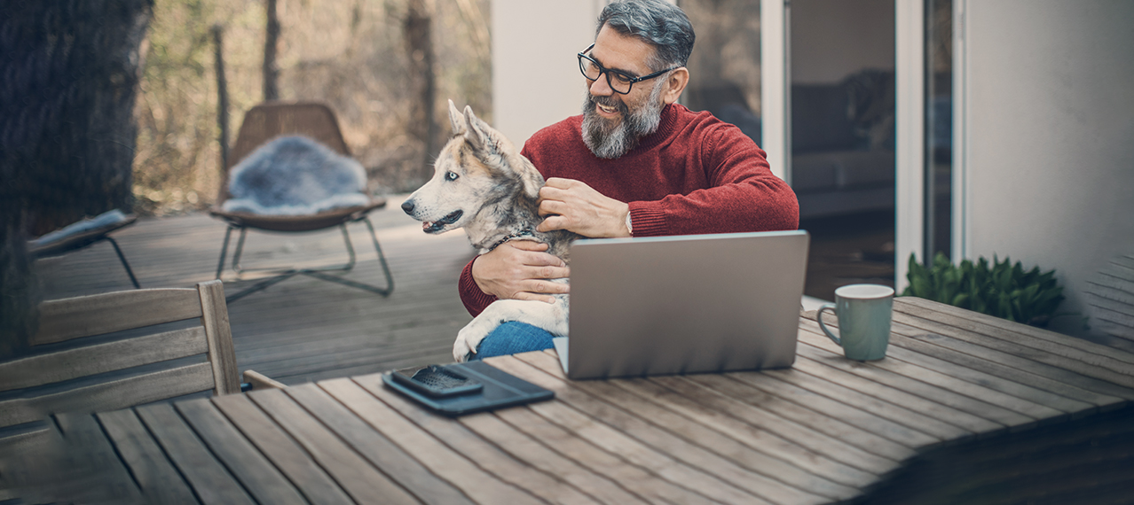 Internet und Festnetz