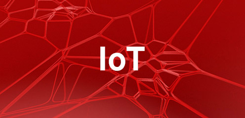 IoT