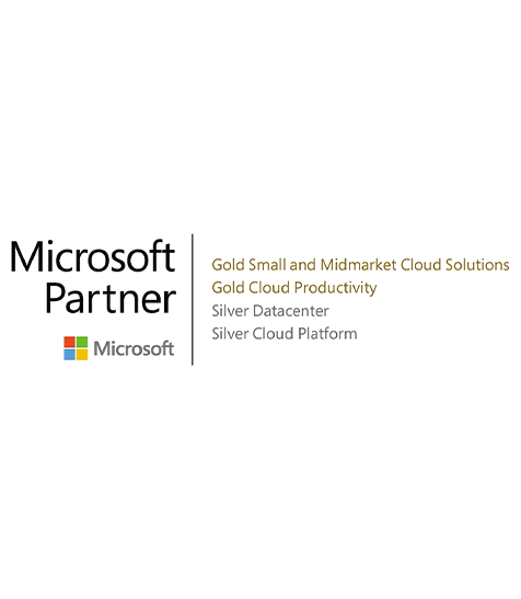 Microsoft Gold Partner Logo