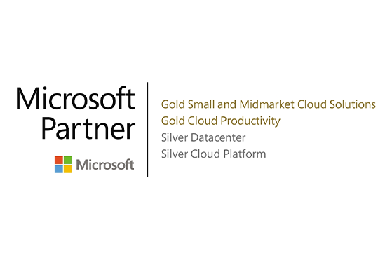 Microsoft Gold Partner Logo