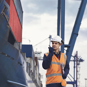Mitarbeiter im Hafen vor einem Containerschiff.