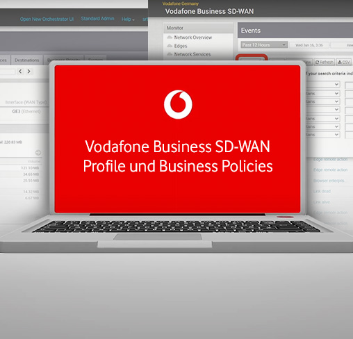 Thumbnail: SD WAN Profile und Business Policies