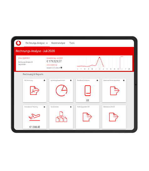 Nutzeroberfl&auml;che in der Rechnungs-Analyse