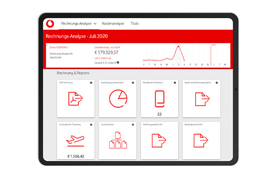 Nutzeroberfl&auml;che in der Rechnungs-Analyse