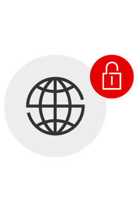 Vodafone Secure Net