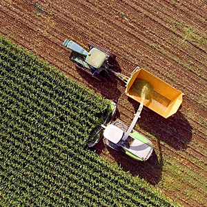 Visualisierung Umweltschutz