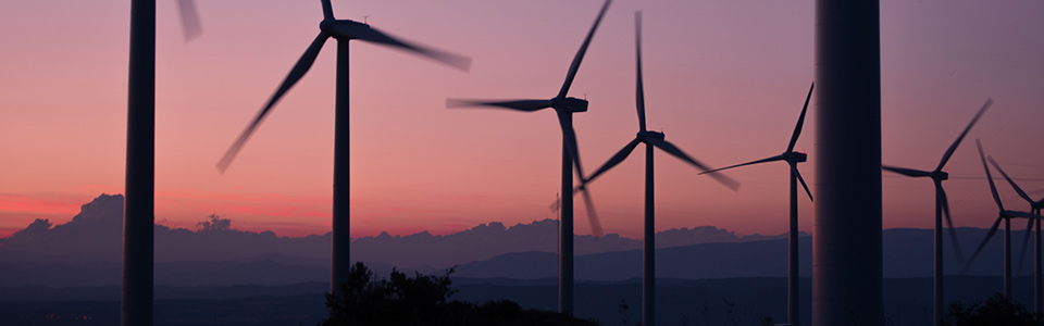 So sch&uuml;tzen wir die Umwelt