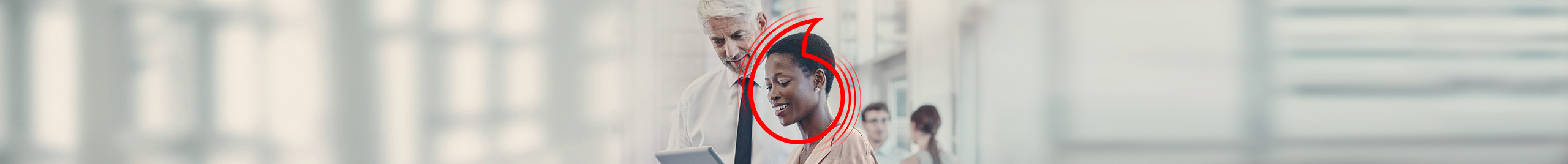 Gesch&auml;ftspartner nutzen Business Internet Pro