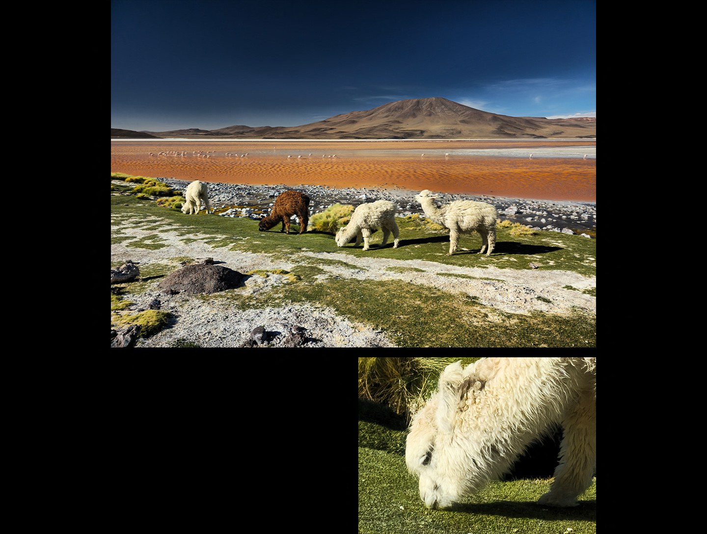 Ein 200 MP-Foto zeigt viele Details und brillante Farben. Wenn in das Foto hineingezoomt wird, bleiben die Details klar erkennbar. Aufgenommen mit dem Galaxy S24 Ultra #with Galaxy.